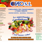 ICO_fabo A4 agrolimentare_Pagina_1